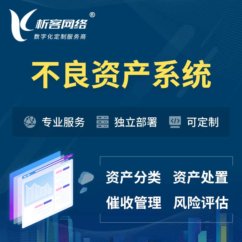 鄂州不良资产管理系统